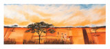 Bhundu Landscape II