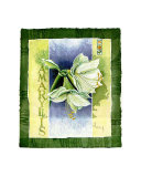 Amaryllis