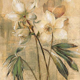 Captive Beauty I