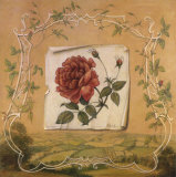 Renaissance Rose II