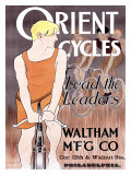 Orient Cycles