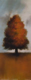 Lonely Maple