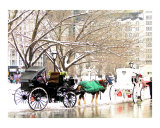Horse and Carriage on a Post NYC Storm Day