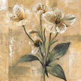 Captive Beauty II