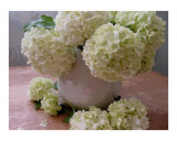Flowers for a Friend