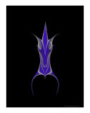 Capricorn  December 22-January 19