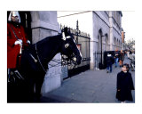 London  1998