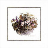 African Violets