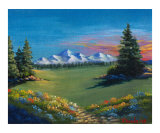 The wildflower meadow