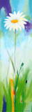 White Daisy Panel