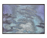Dolphin school