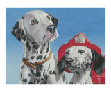 Dalmatians