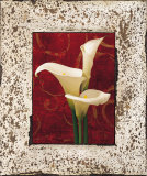 Calla Lilies