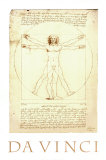 Vitruvian Man  c1492