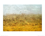 The Wheat Field