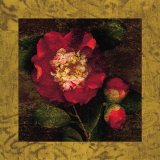 Red Camellias I