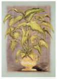Jarrones Plantas I