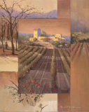 Sunrise Vineyard