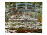 Water Lily Pool