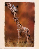 Giraffe Kiss
