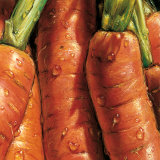 Carrots