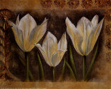 Triple Tulip I