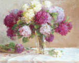 Elizabeth's Hydrangeas