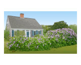 Lilac House