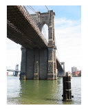 The Mighty Brooklyn Bridge