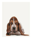 The Hound