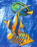 Yellow Fish