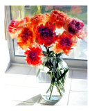 Mixed Carnations in Window