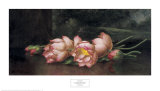 Lotus Flowers: a Landscape Painting in the Background