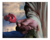 The Rose