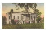 Historic Wormsloe Plantation, Savannah, Georgia, USA Photographic Print