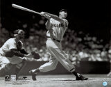 Ted Williams