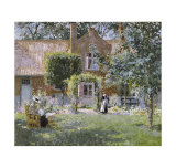 Unpretentious Garden