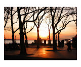 Battery Park During a NYC Sunset