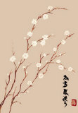 Almendro Oriental III