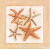 Etoiles de Mer III