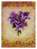 Lily Violeta