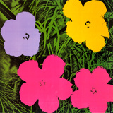 Flowers  1970