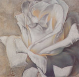 White Passion I