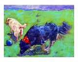 Dogs