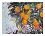 Janet's Oranges