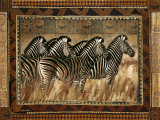 Zebras