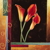 Orange Callas