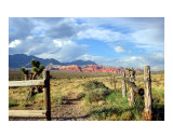 Red Rock Canyon - Las Vegas - After Spring Rain