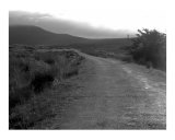 Road Less Traveled