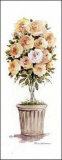 Rose Topiary
